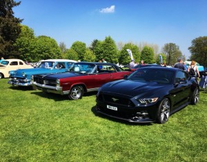 Ford Mustang Cars in the Park